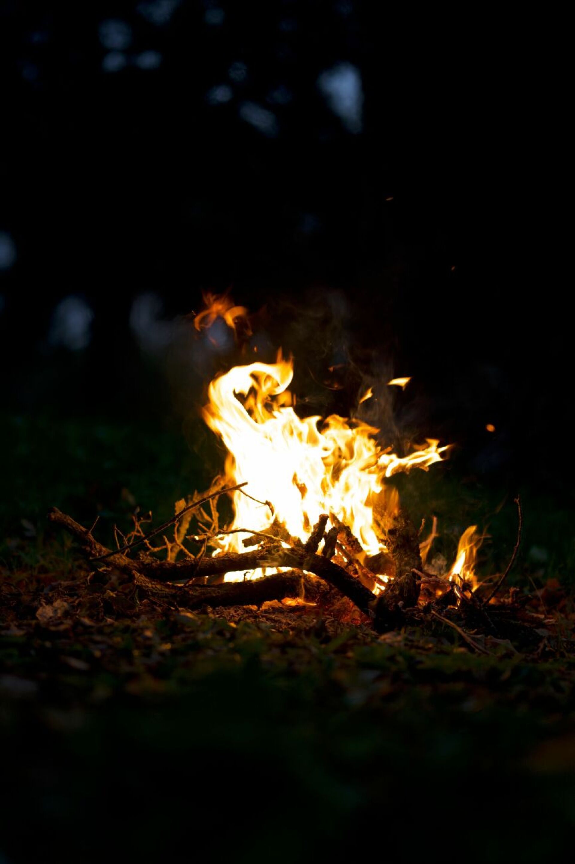 Bedingtes Feuerverbot im Wald und am Waldrand aufgehoben - Das Bild wird blockiert. – Möglicherweise durch einen aktiven Adblocker.