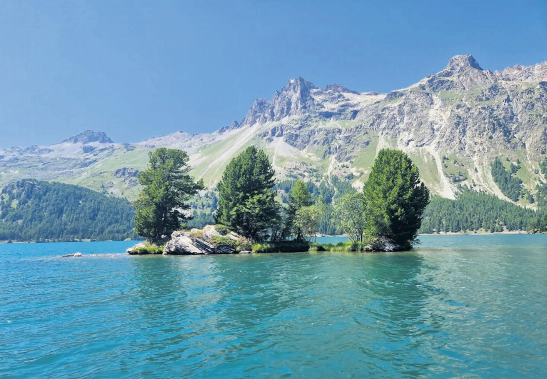 Insel im Silsersee.
Foto: Bernadette Zaniolo, Mettauertal Insel im Silsersee.
Foto: Bernadette Zaniolo, Mettauertal