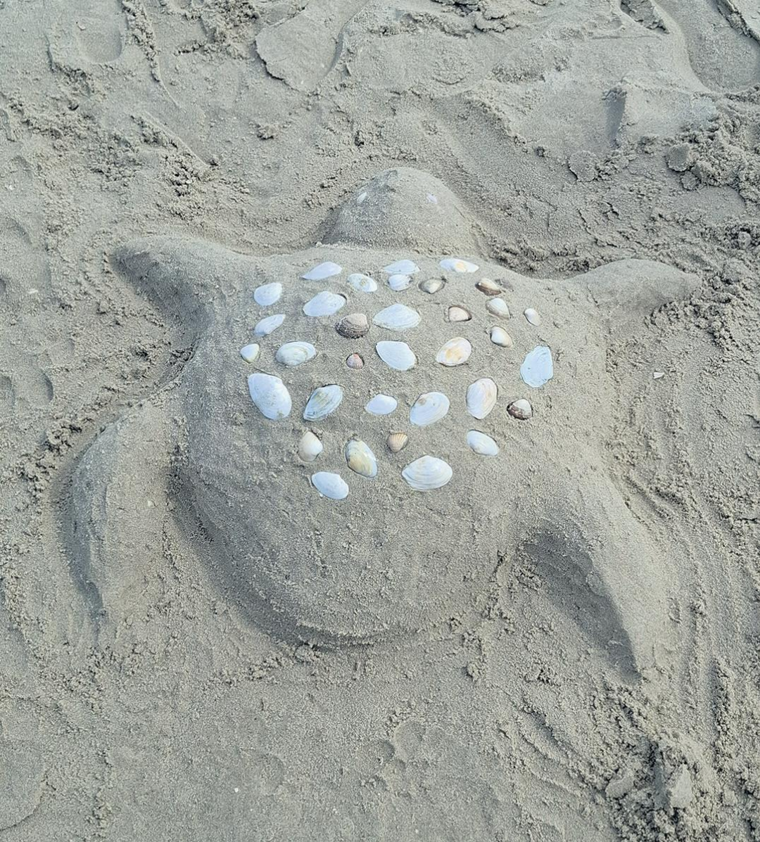 Es hatte spezielle Tiere am Strand an der Ostsee.
Foto: Sabine Scheiber, Frick Es hatte spezielle Tiere am Strand an der Ostsee.
Foto: Sabine Scheiber, Frick