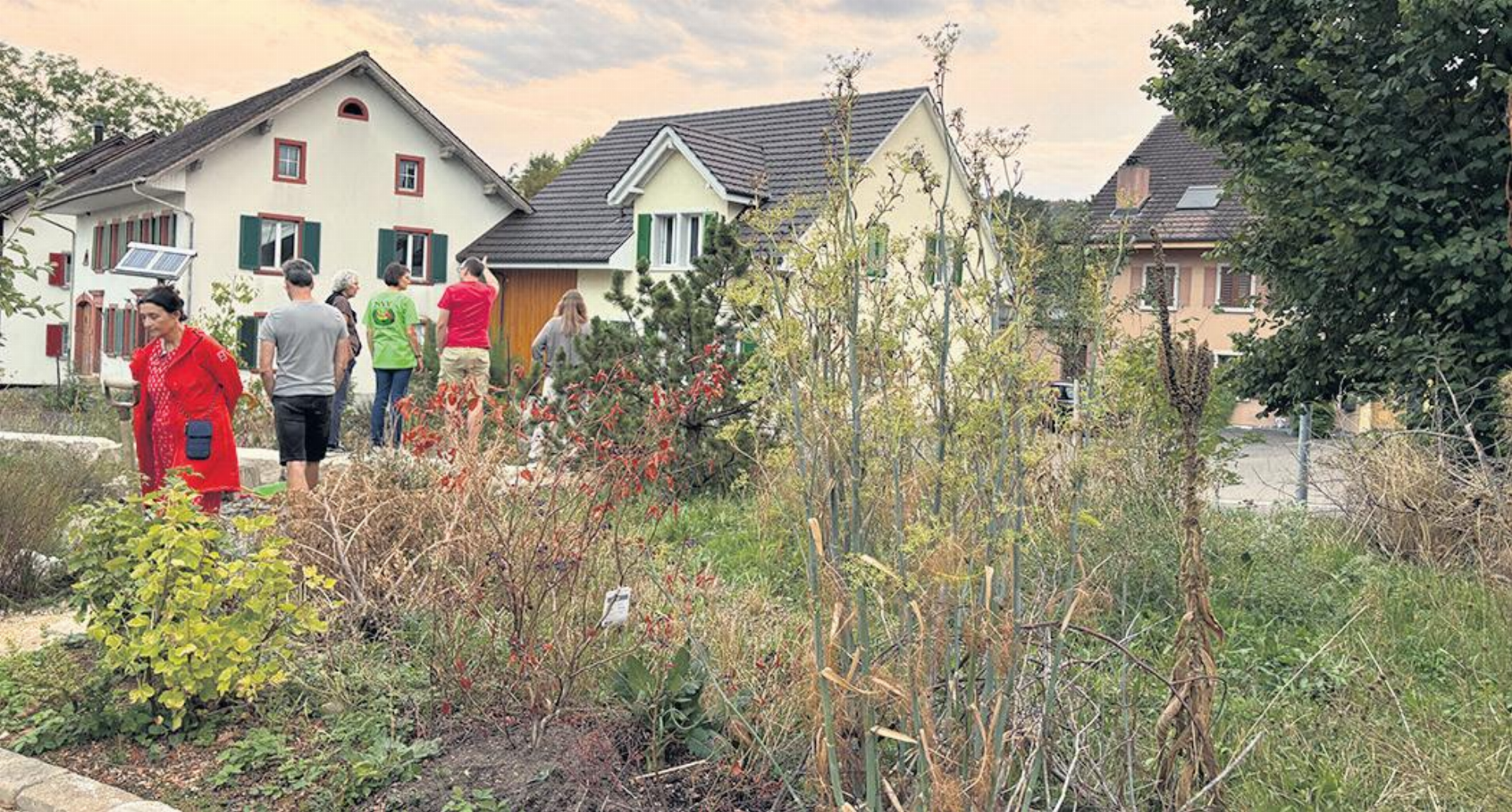 Gartenwelten - Das Bild wird blockiert. – Möglicherweise durch einen aktiven Adblocker.