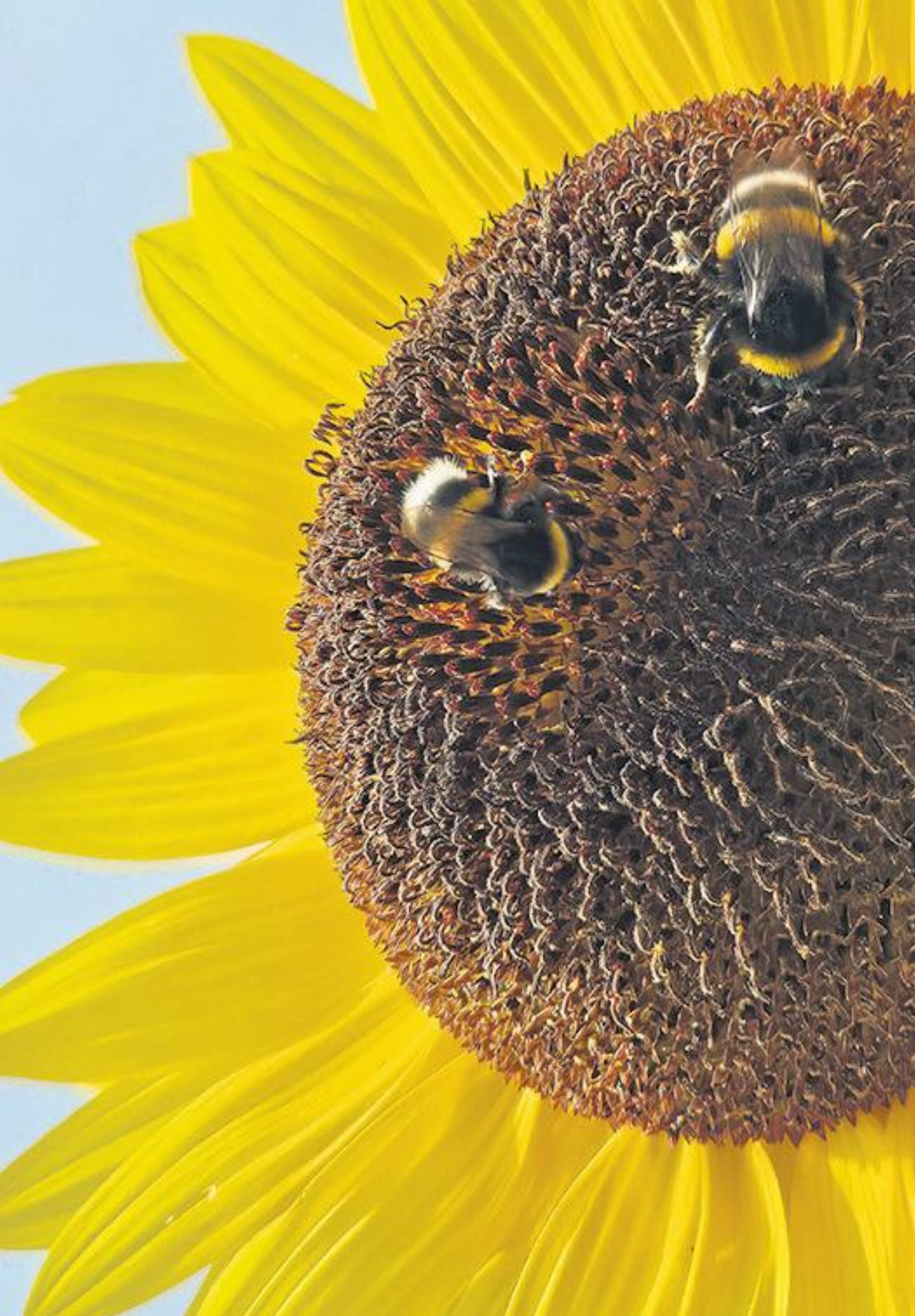 Auf Fotopirsch im Fricktal - Das Bild wird blockiert. – Möglicherweise durch einen aktiven Adblocker.