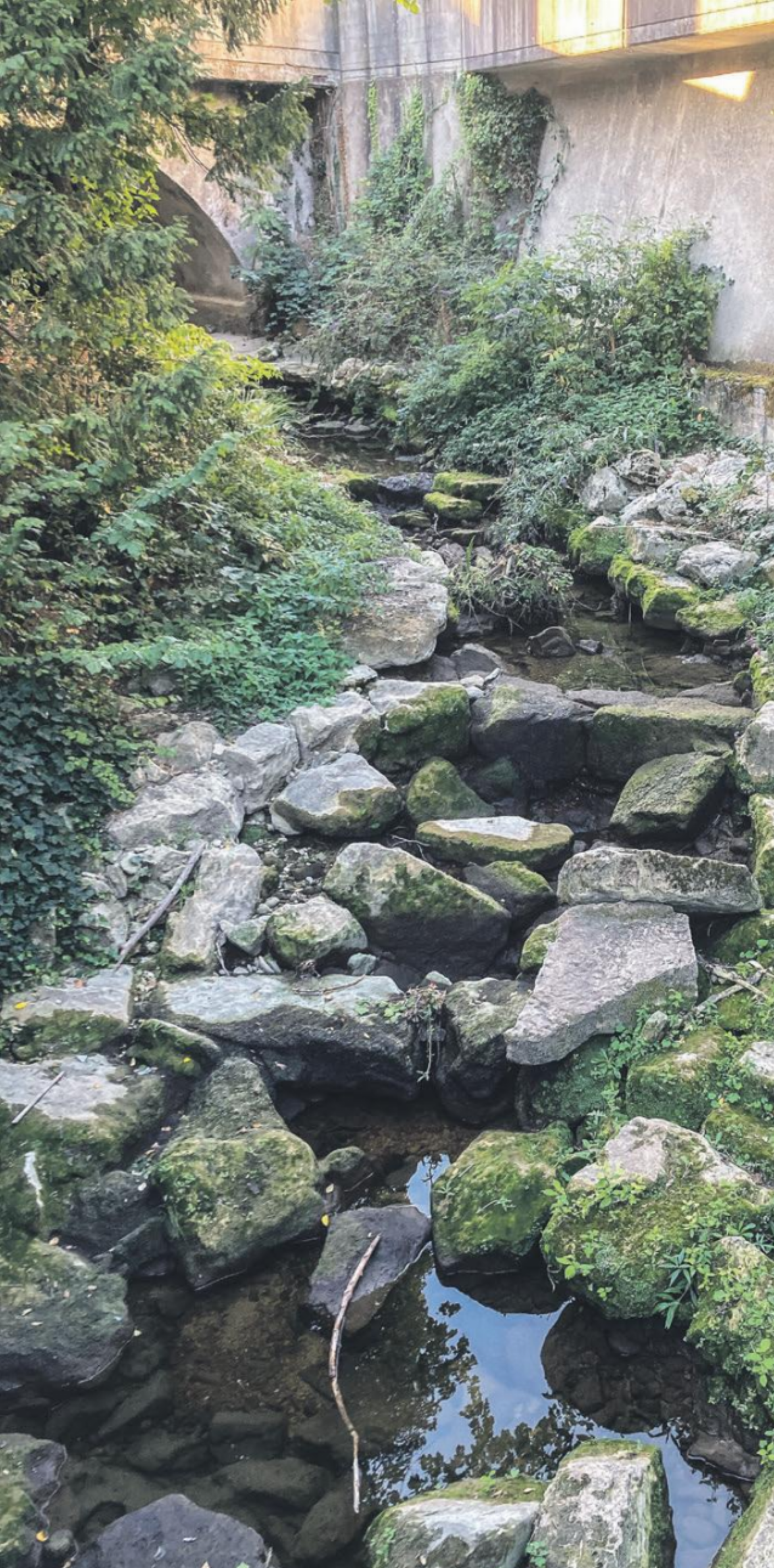 Der Wasserfall schweigt - Das Bild wird blockiert. – Möglicherweise durch einen aktiven Adblocker.