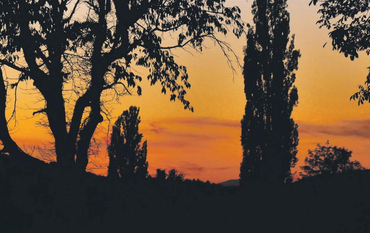 Beeindruckende Abendstimmung in Orange-Rot in der Umgebung von Zuzgen. Leserfoto: Rosmarie Hürner