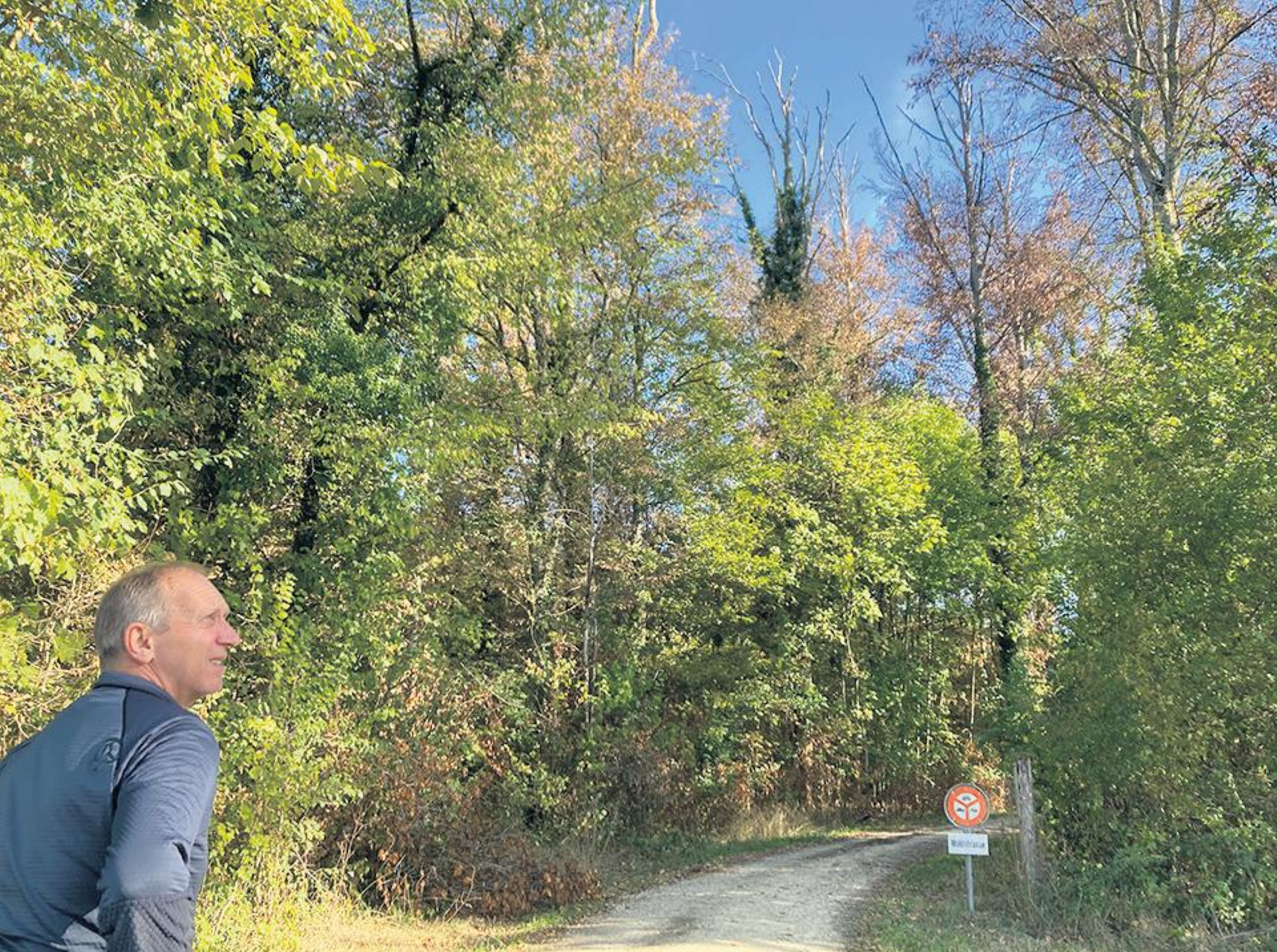 «Es wird nicht mehr derselbe Wald sein» - Das Bild wird blockiert. – Möglicherweise durch einen aktiven Adblocker.