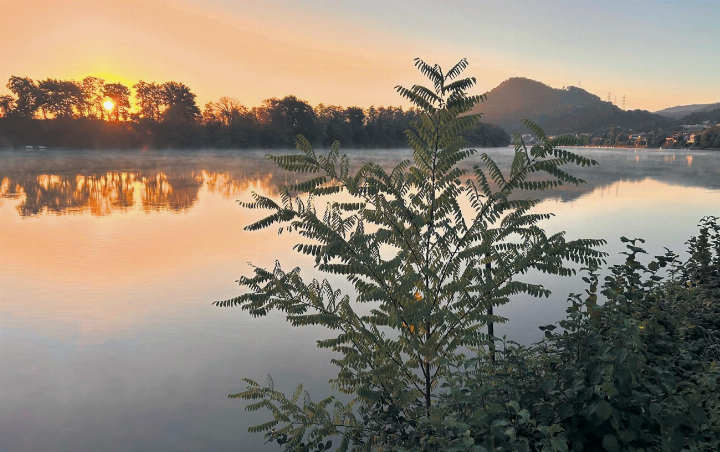So sieht ein Morgen aus, wenn Wallbach erwacht … Foto: Nicole Schnetzler, Gipf-Oberfrick