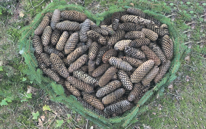 Schönes Tannzapfen-Herz, entdeckt im Wald in Kaisten. Leserfoto: Margrit Freudemann