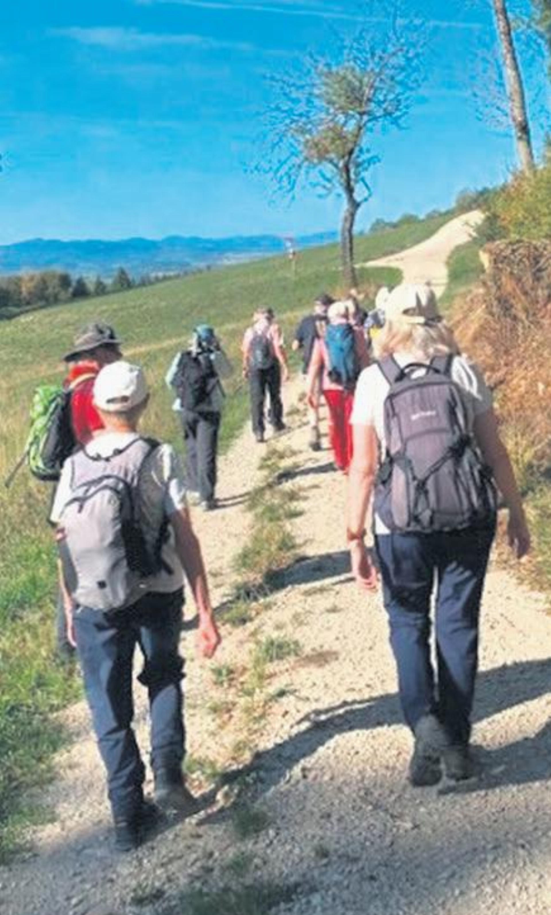 Wandergruppe Raurica jubiliert - Das Bild wird blockiert. – Möglicherweise durch einen aktiven Adblocker.
