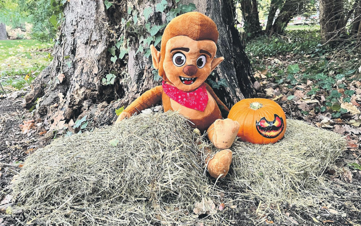 Ein charmanter Vorbote auf Halloween – gesehen im Rheinfelder Stadtpark. Foto: Valentin Zumsteg