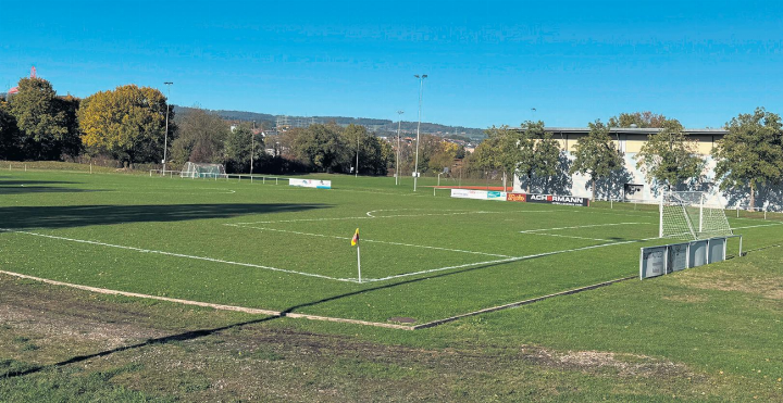 Seit 50 Jahren gibt es die Sportanlagen Blauen. Sanierungen und Erneuerungen drängen sich auf. Foto: Susanne Hörth Seit 50 Jahren gibt es die Sportanlagen Blauen. Sanierungen und Erneuerungen drängen sich auf. Foto: Susanne Hörth