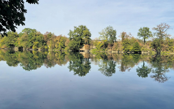 Spiegelbild am Rheinuferweg zwischen Rheinsulz und Laufenburg. Foto: Ursi Steinacher, Sulz